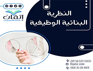 النظرية البنائية الوظيفية: إطار لفهم بناء المجتمع ووظائفه
